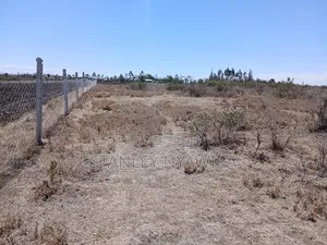 2 Acreas Nanyuki Mirera