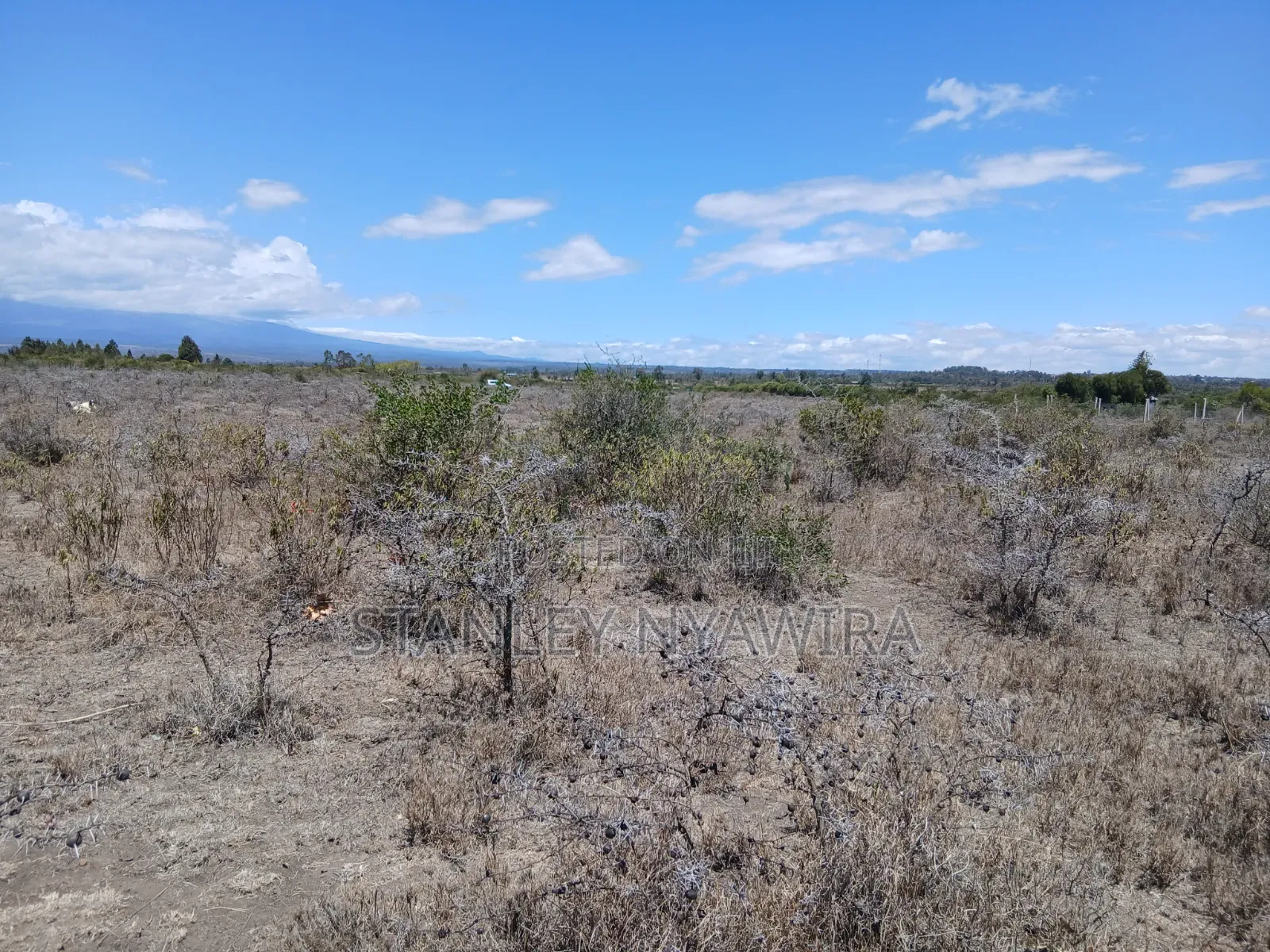 2 Acreas Nanyuki Mirera