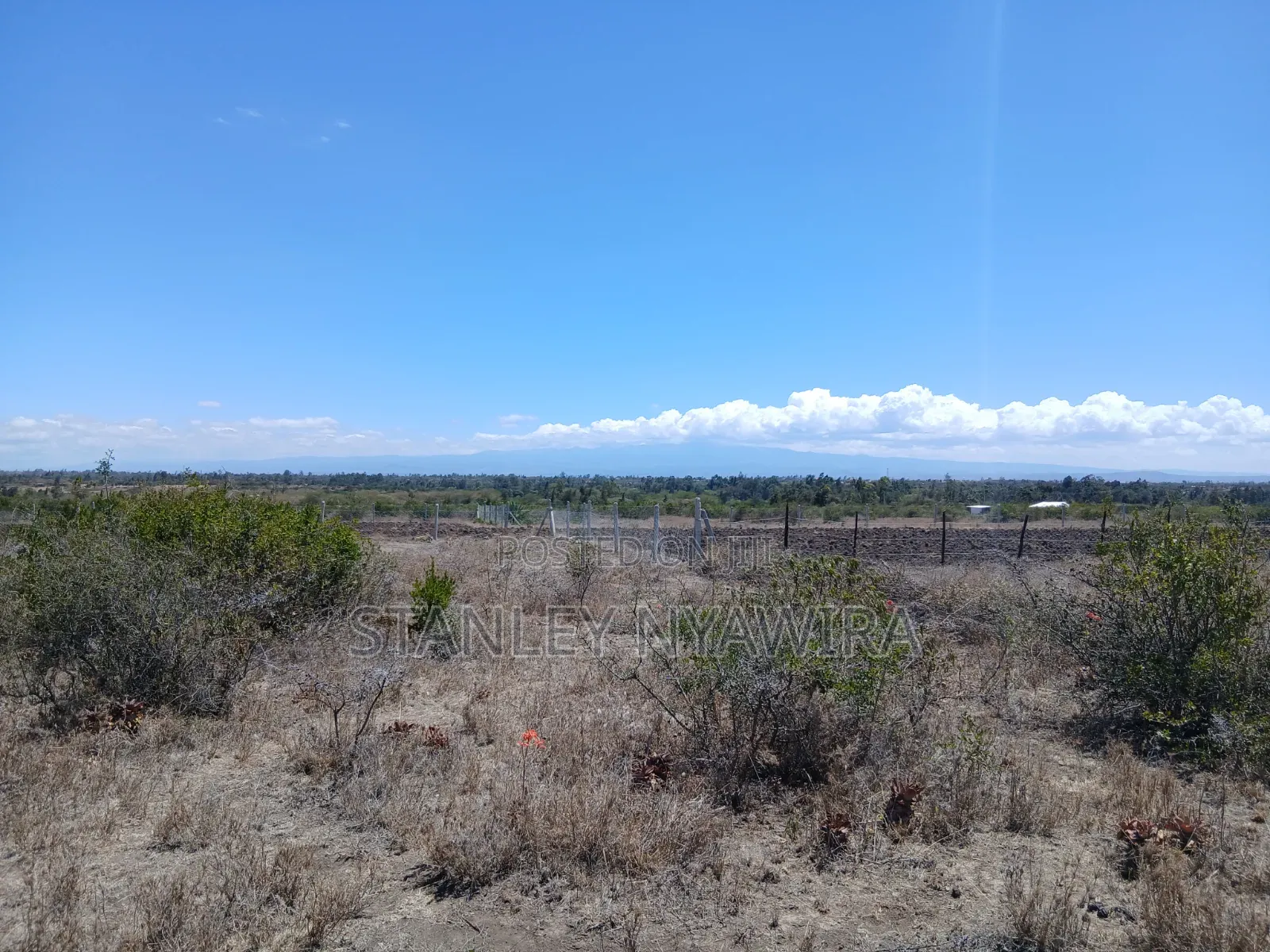 2 Acreas Nanyuki Mirera