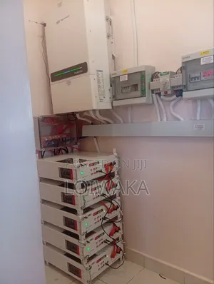 Lithium Batteries