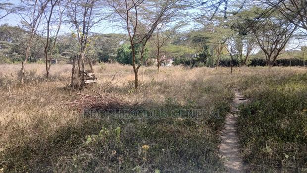 Quarter Commercial Plots for Sale in Ongata Rongai Town. - thumbnail 2
