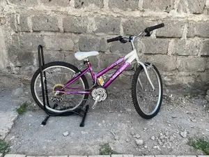 Raleigh Ex Uk Bike