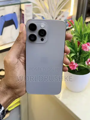 Apple iPhone 15 Pro Max 256 GB Gray