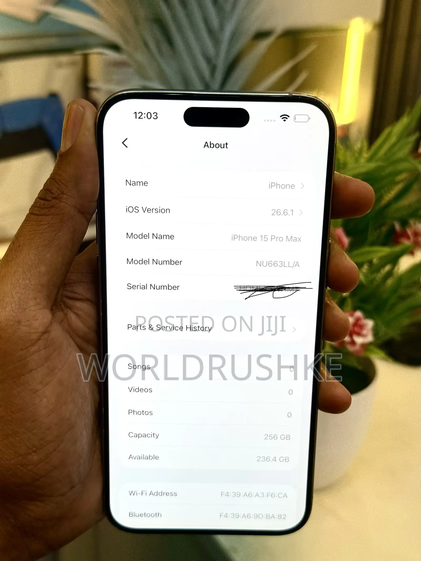 Apple iPhone 15 Pro Max 256 GB Gray