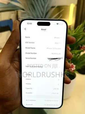 Apple iPhone 15 Pro Max 256 GB Gray