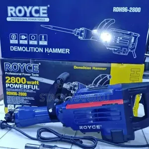 2800 Watts Royce Demolition Hammer