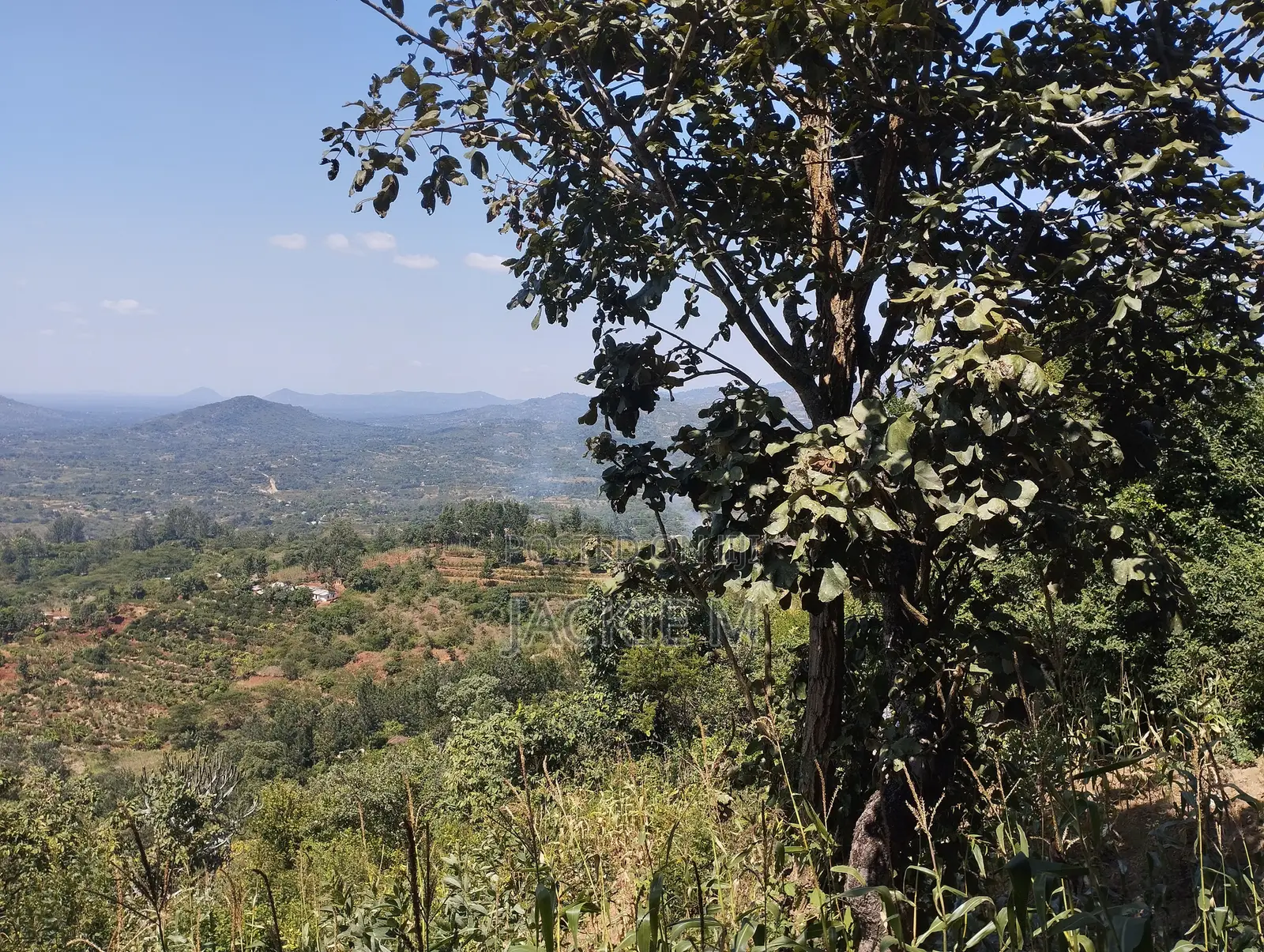3-Acre Fertile Land for Quick Sale in Kalamba