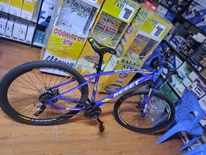 Adult Size 29" Mountain Bike