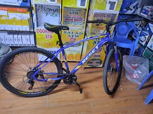 Adult Size 29" Mountain Bike