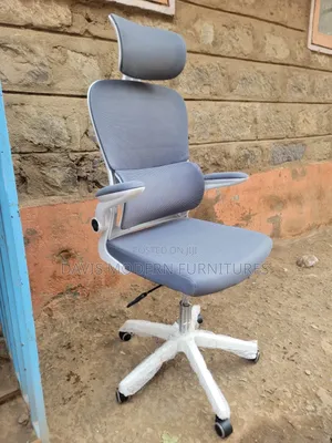 Grey Ergonomic Office Chair