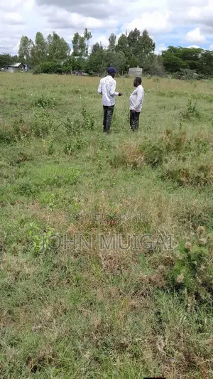 Ngong Town Prime Plots for Sale