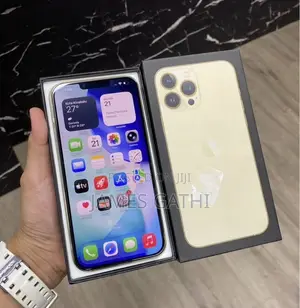 Apple iPhone 13 Pro Max 512 GB Gold