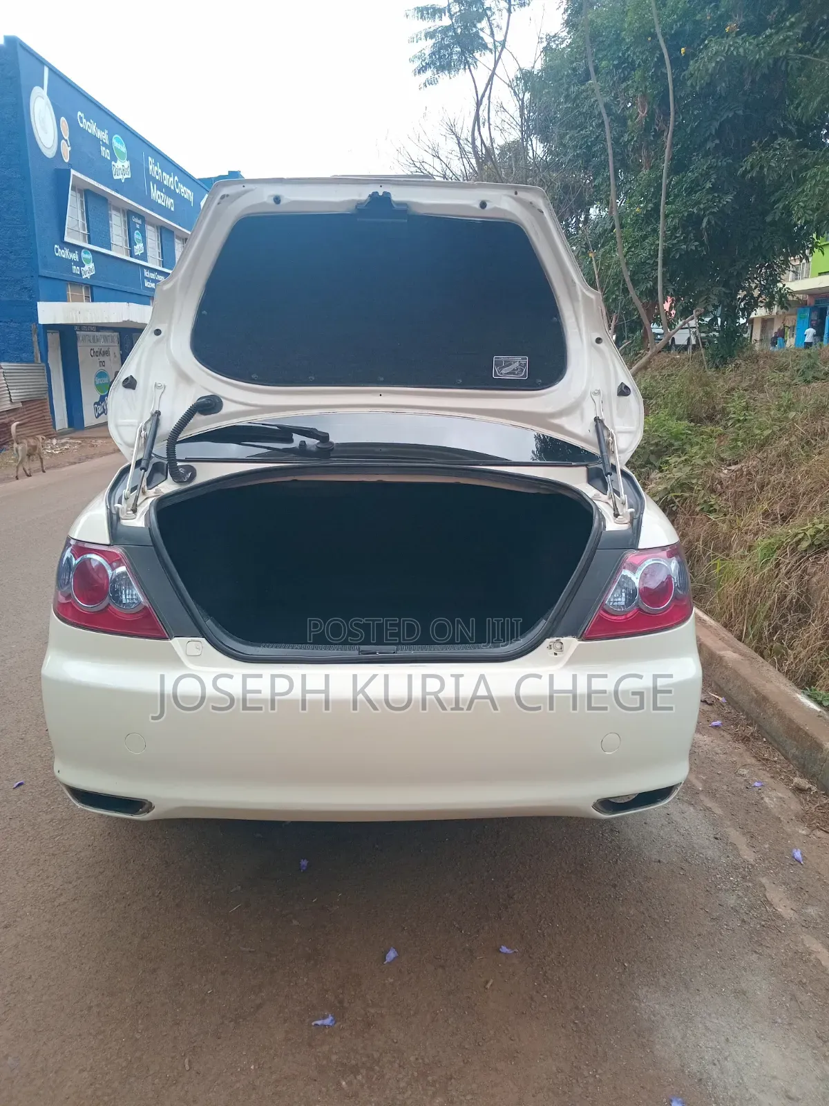 Toyota Mark X 2009 White