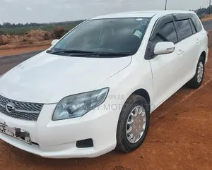 Toyota Corolla Fielder 2010 White