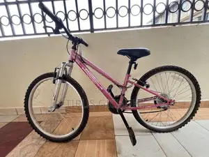 Ex UK Apollo Girls Mountain Bike 18 Speed Size 24