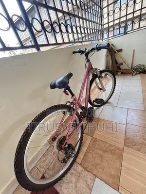 Ex UK Apollo Girls Mountain Bike 18 Speed Size 24