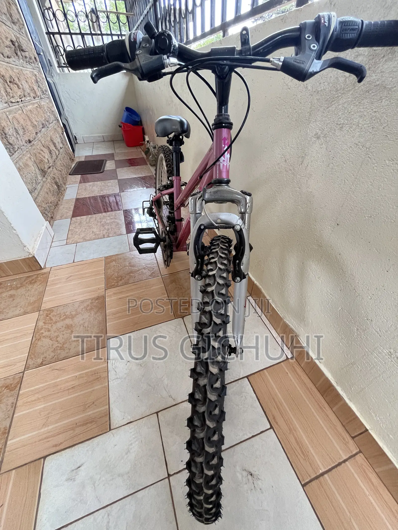 Ex UK Apollo Girls Mountain Bike 18 Speed Size 24