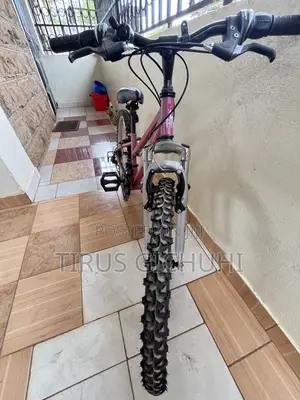 Ex UK Apollo Girls Mountain Bike 18 Speed Size 24