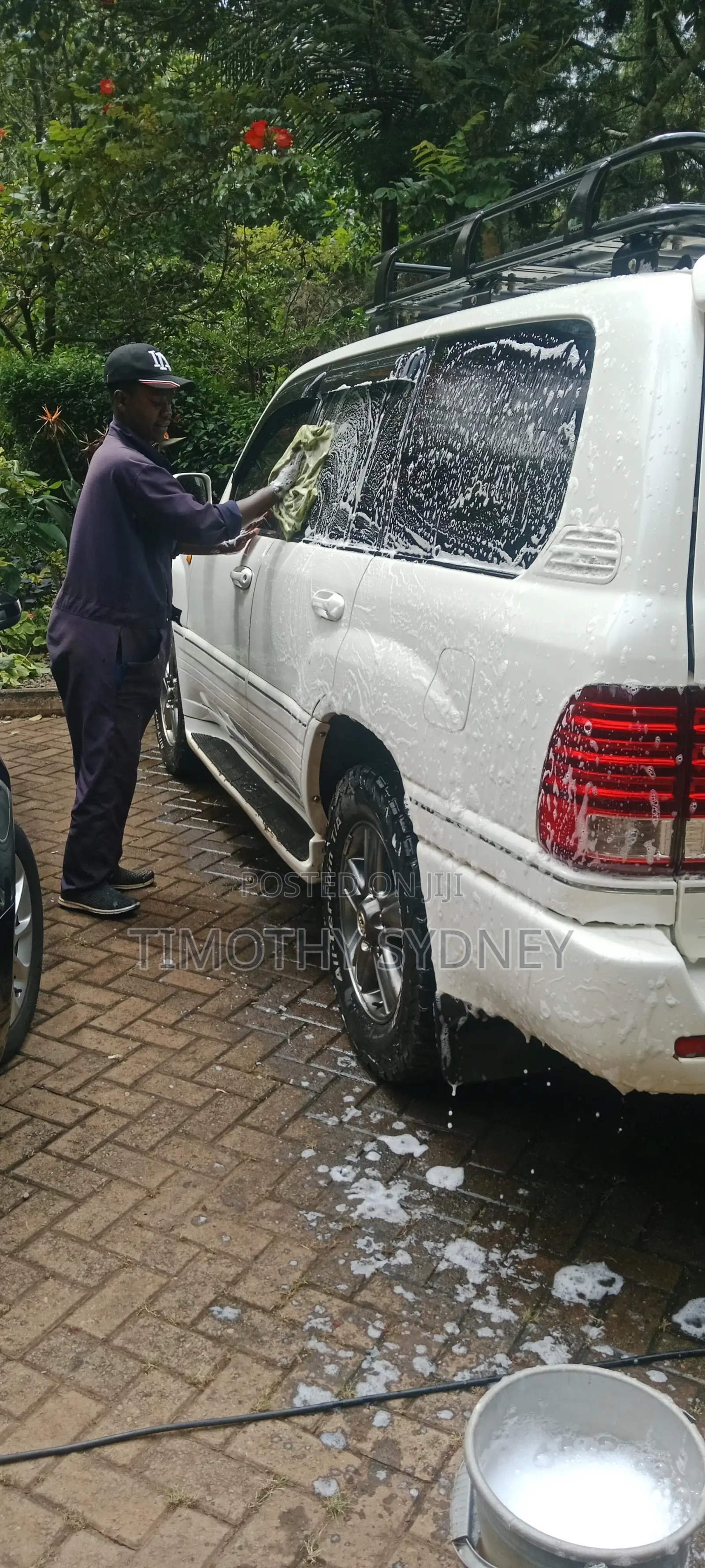 Professional Lawn Mowing, Garden Care and Mobile Car Wash