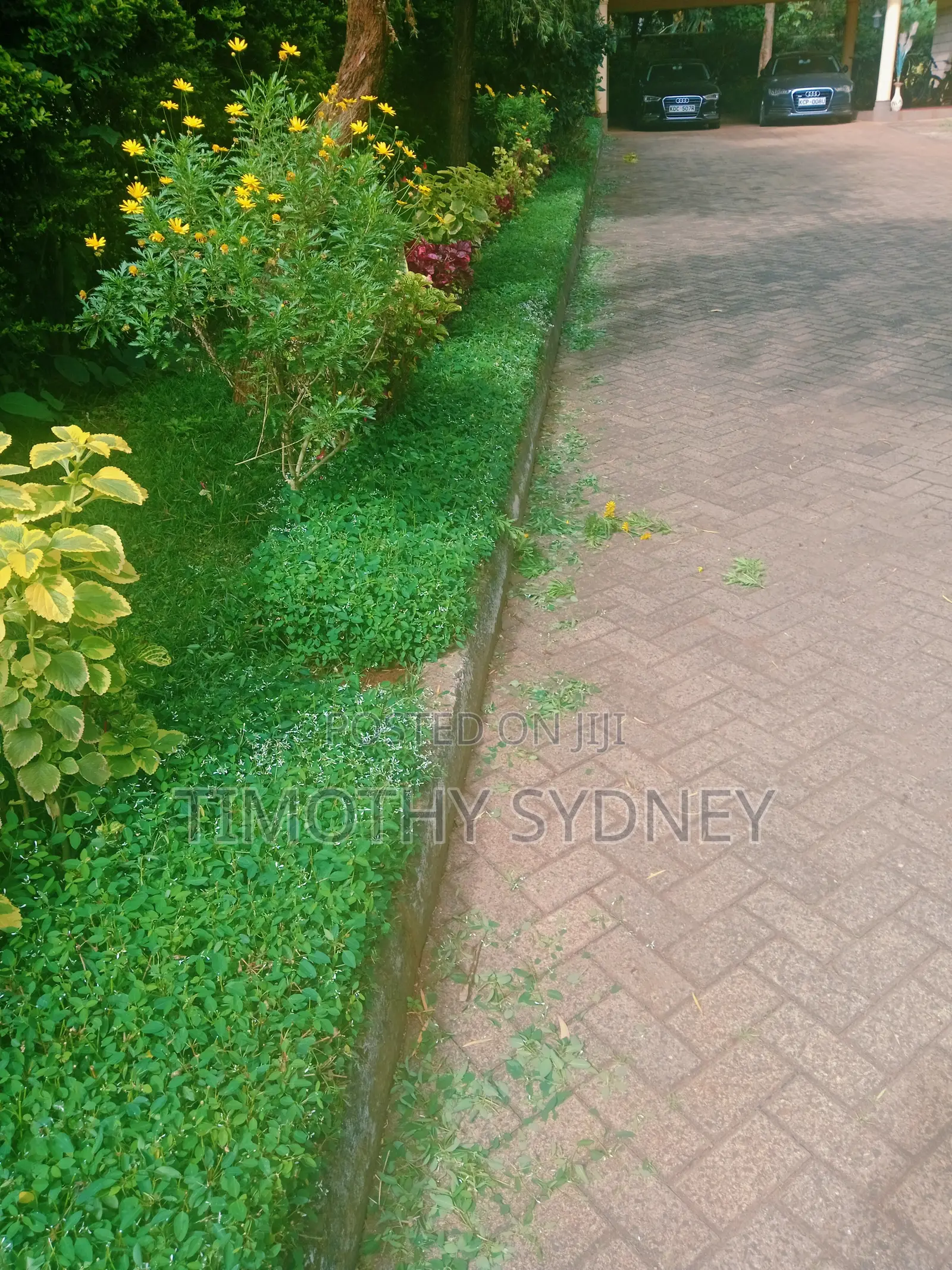 Professional Lawn Mowing, Garden Care and Mobile Car Wash