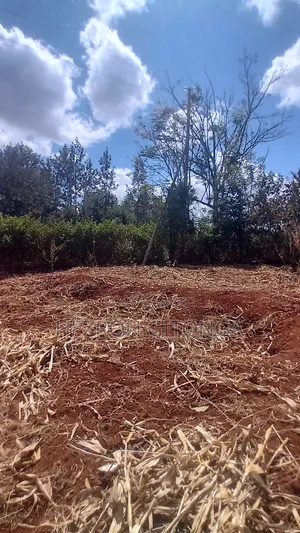 2 50 ×100 Prime Plots for Sale