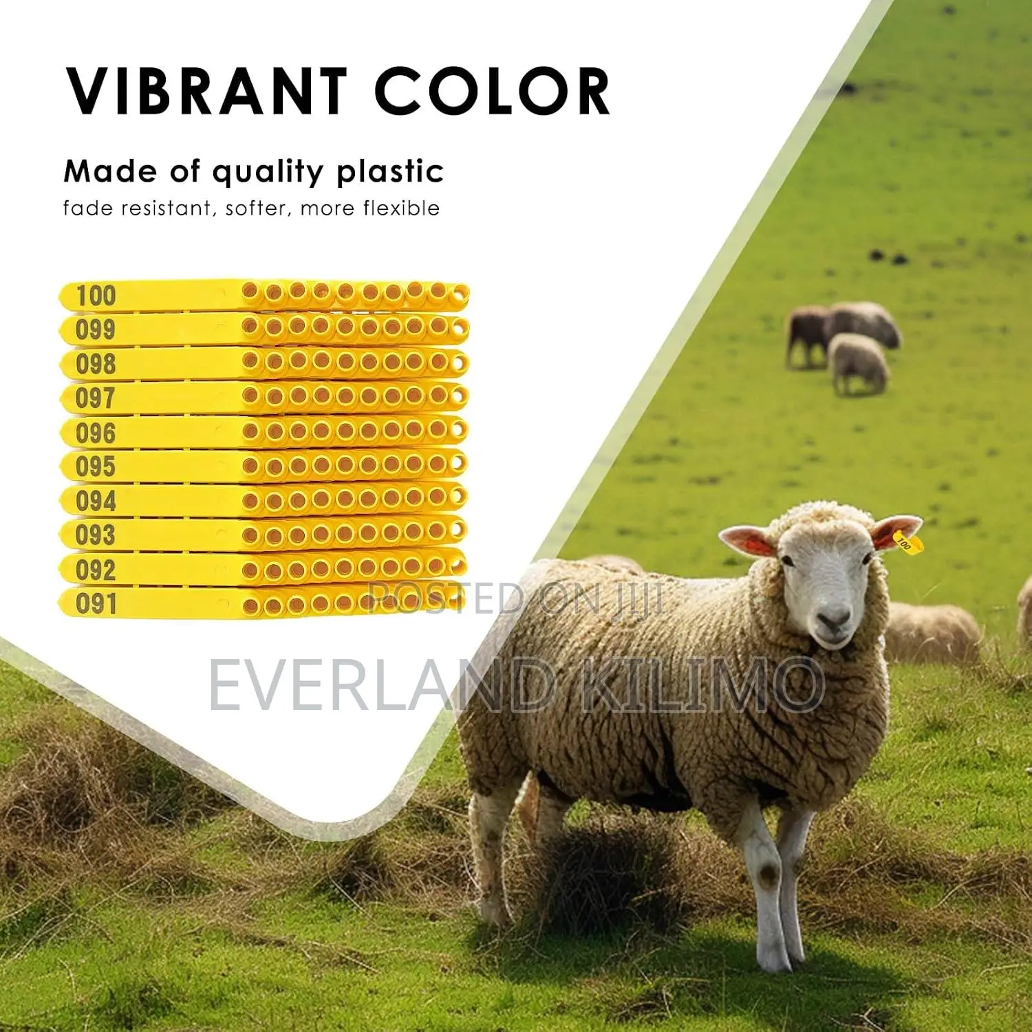 Premium TPU Livestock Ear C- Tags - Numbered