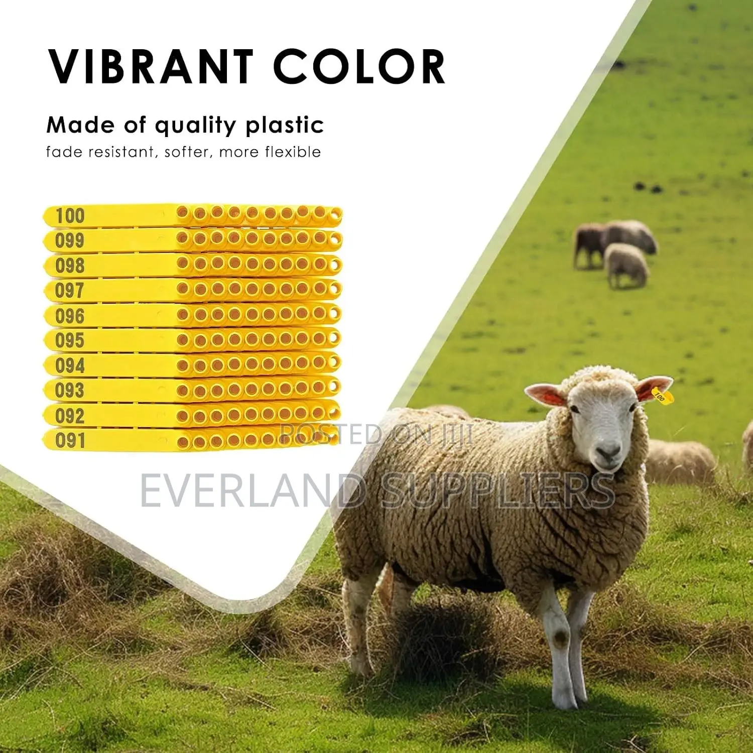 Premium TPU Livestock Ear C- Tags - Numbered