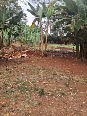 Kiambu Road Prime Fully Serviced 1/4ac at Kivulini Estate Ready Title