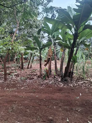 Kiambu Road Prime Fully Serviced 1/2ac at Kivulini Estate Ready Title