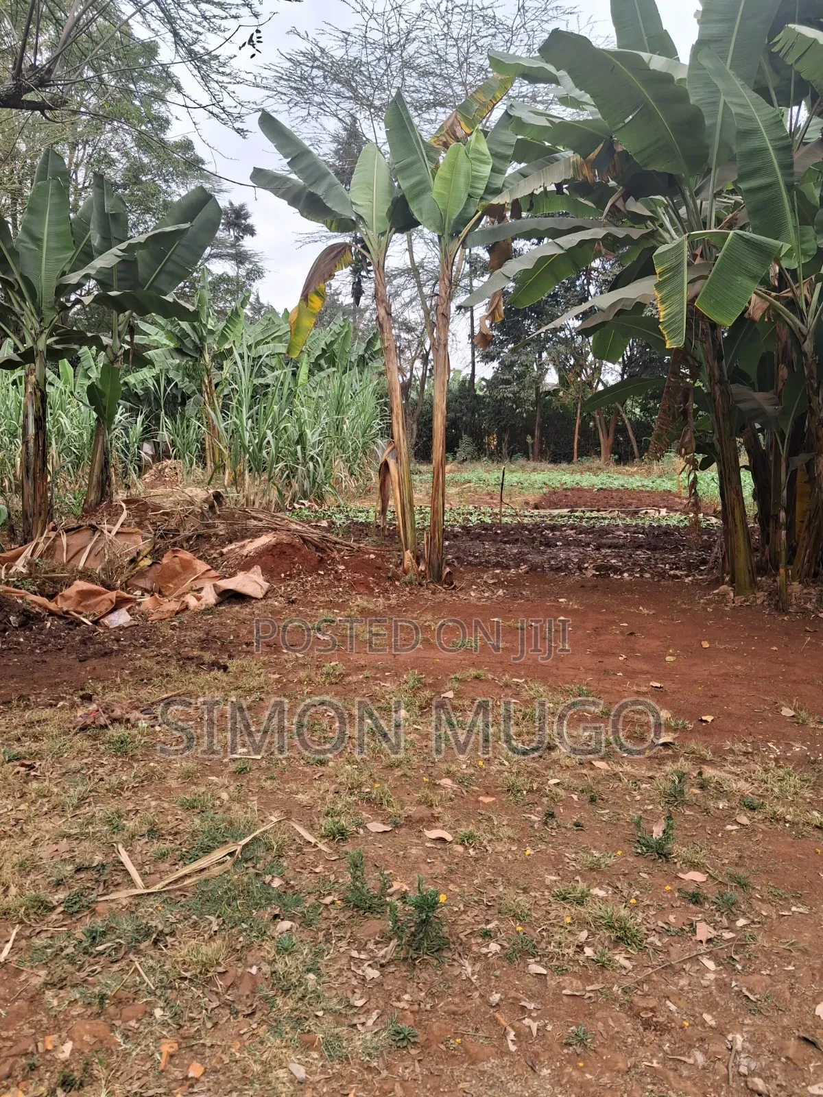 Kiambu Road Prime Fully Serviced 1/2ac at Kivulini Estate Ready Title