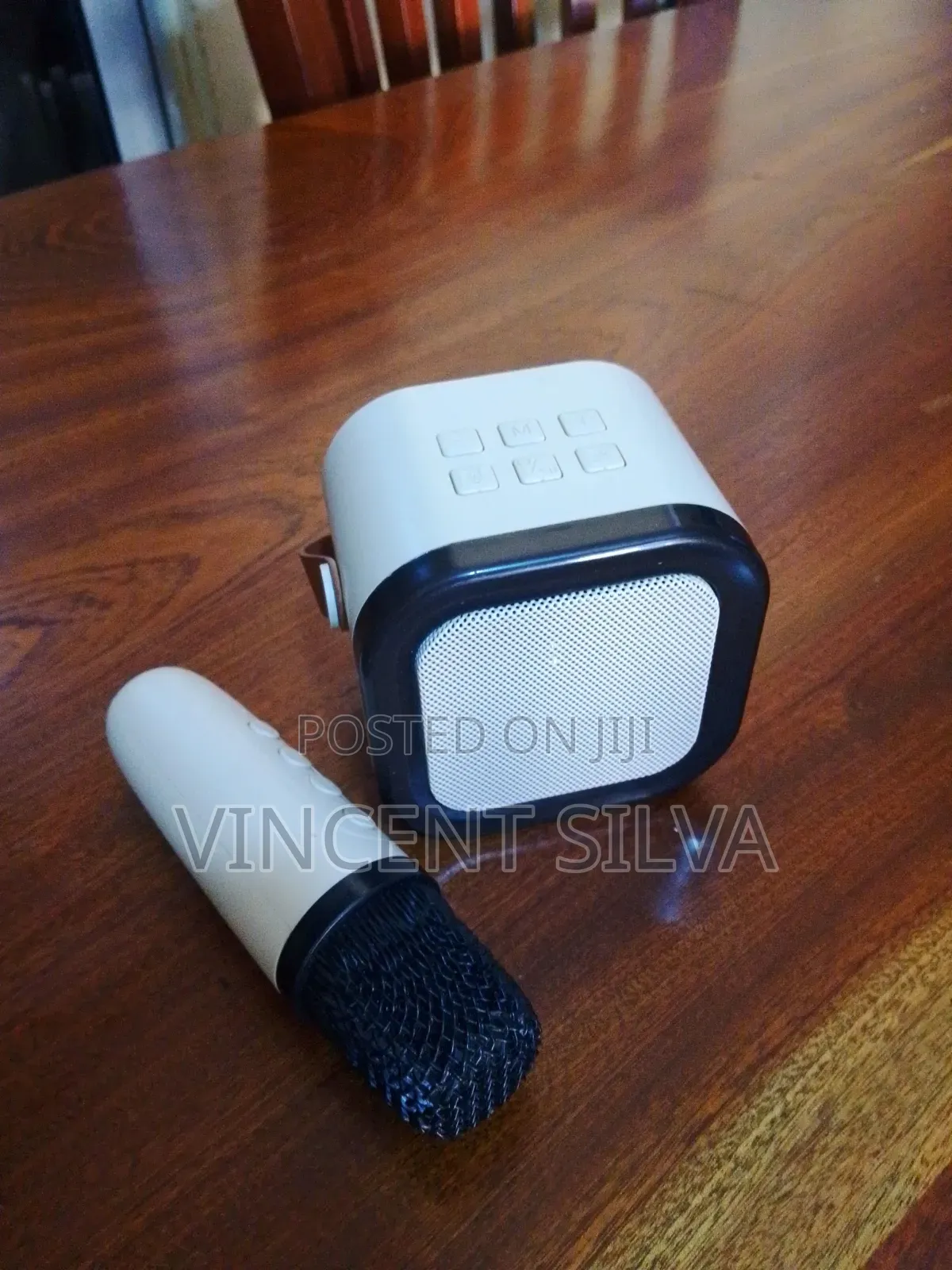 K12 Karaoke Speaker and Mic