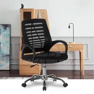 Low Back Ergonomic Work Chair