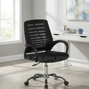 Low Back Ergonomic Work Chair