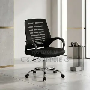 Low Back Ergonomic Work Chair