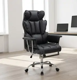 Executive Office Chair : Office C.E.O Chair