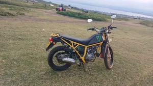 Kibo K160 2021 Yellow