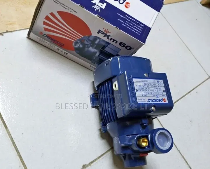 Hurry Grab Yours 0.5jp Pedrollo Water Pump