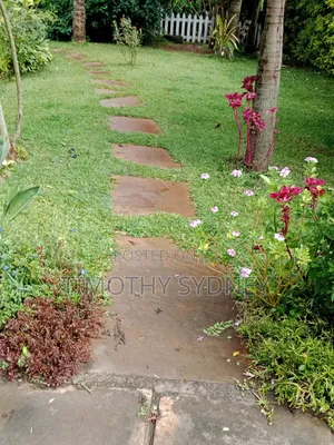 Monifa Garden and Lawn Care