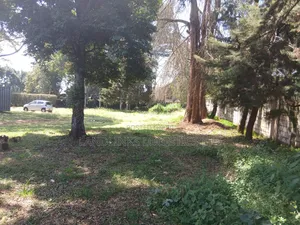 Joint Ventre ( Jv )9.5 Acres Karen Kerarapon Drive Muhugu Lane