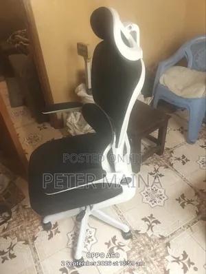 High Back Ergonomic Office Chair.