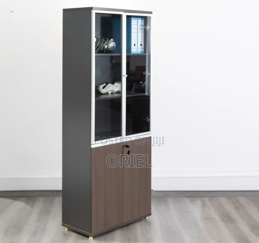 2-Door Wooden Office Cabinet : Modern Wooden Storage Cabinet