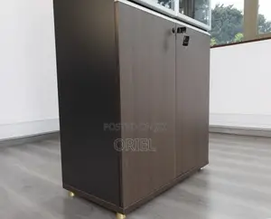 2-Door Wooden Office Cabinet : Modern Wooden Storage Cabinet
