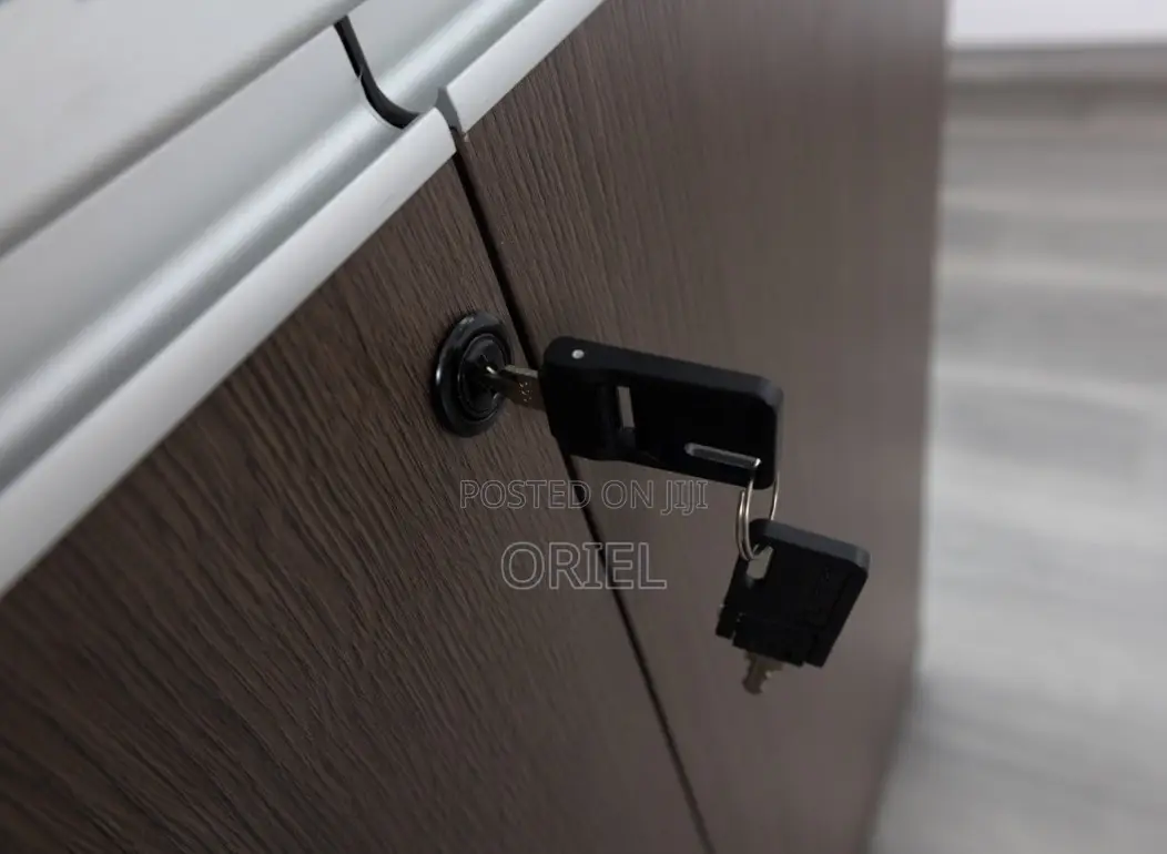 2-Door Wooden Office Cabinet : Modern Wooden Storage Cabinet
