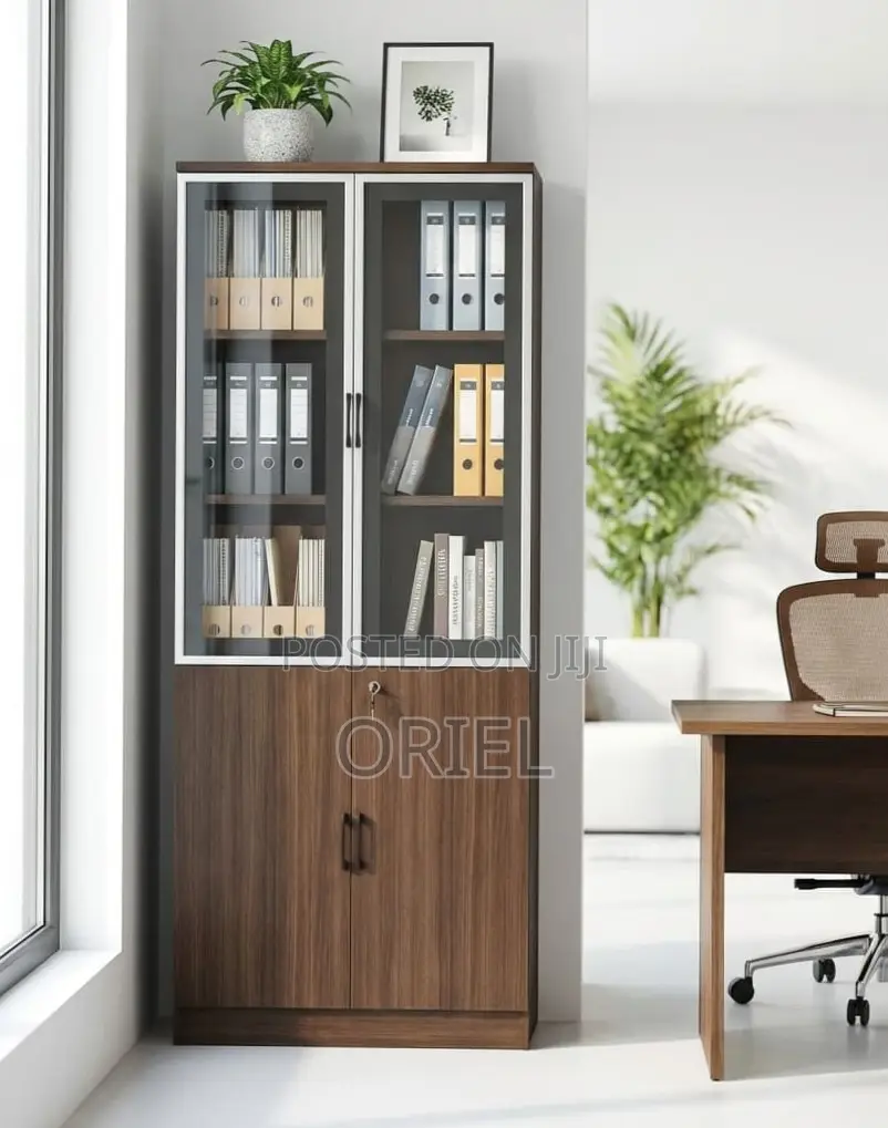2-Door Wooden Office Cabinet : Modern Wooden Storage Cabinet