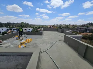 Professional Application of Topseal107