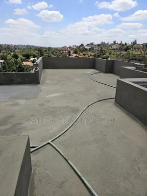 Professional Application of Topseal107