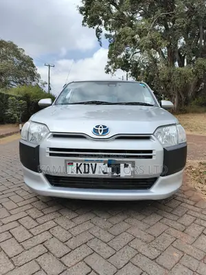 Toyota Probox 1.5 DX Comfort 2WD 2020 Silver