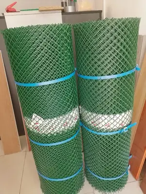 Chicken Mesh