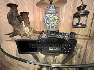 Nikon COOLPIX P950 – Almost New