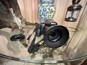 Nikon COOLPIX P950 – Almost New